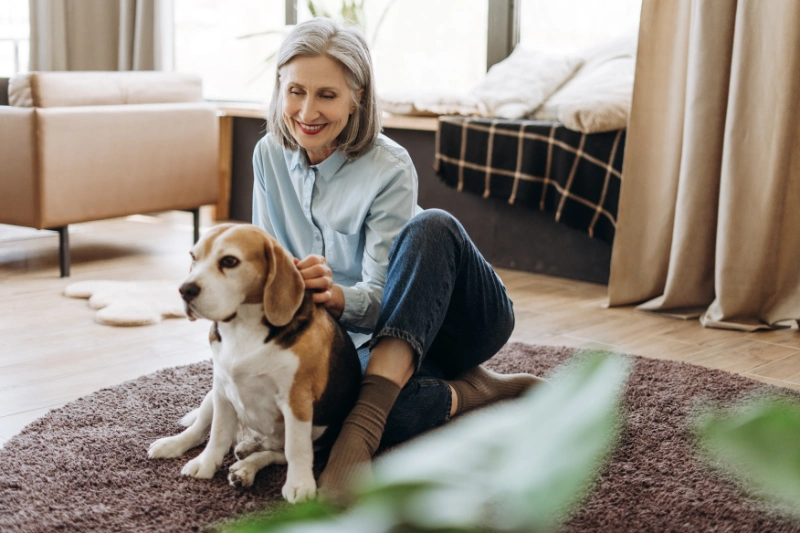 Woman relaxing with a laptop and dog in a sunlit living room.